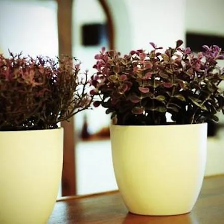 The Heights 2 Bedroom *