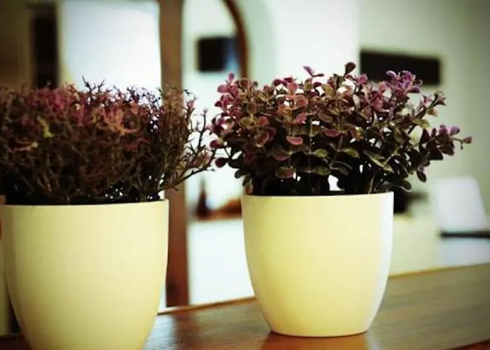 The Heights 2 Bedroom *